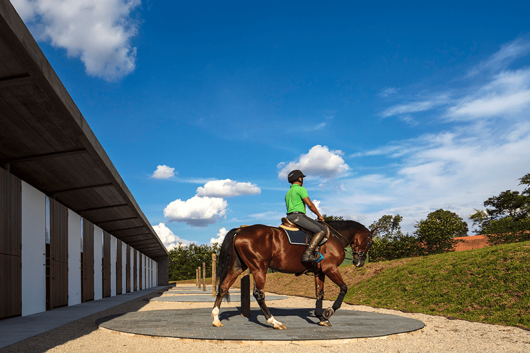 Cavalos ajudam na saúde física e mental com atividades em MT